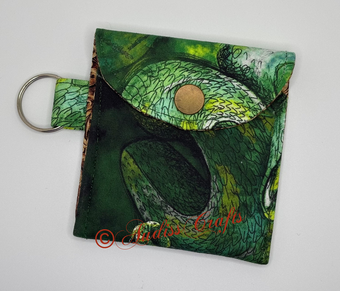 Green Snake keyring case
