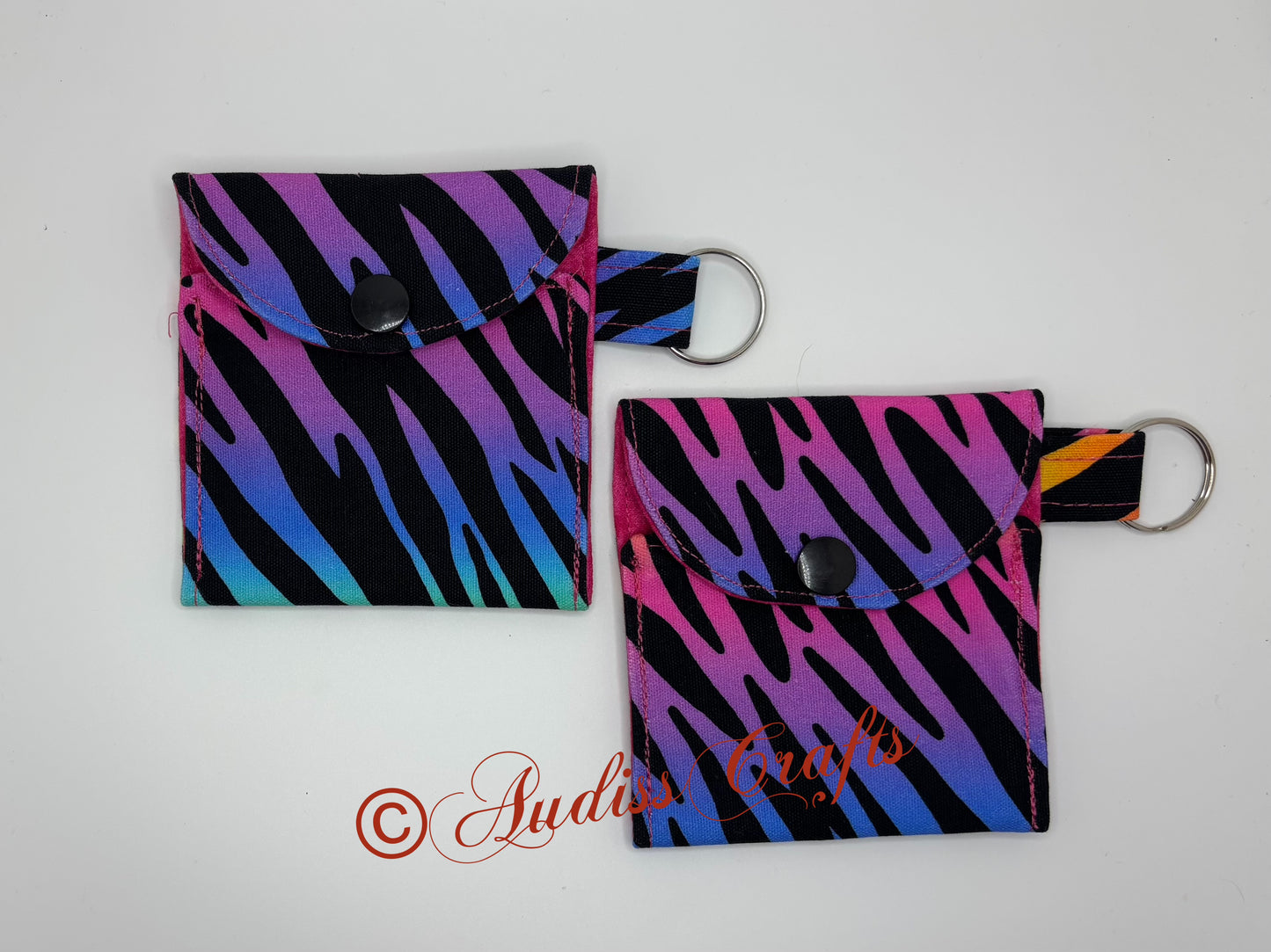 Rainbow Zebra keyring case